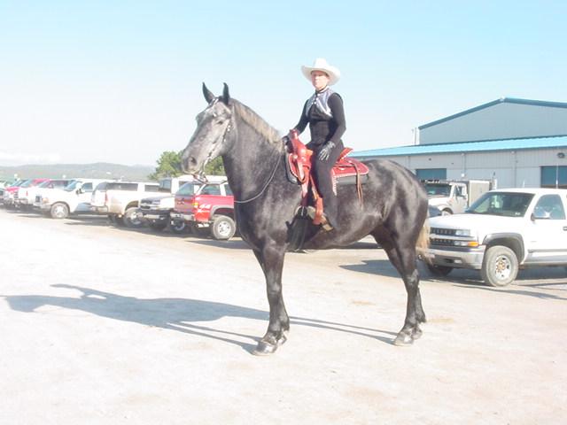 percheron1.jpg